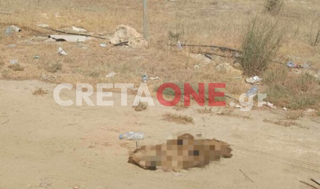 καρτερός