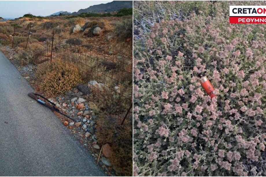 θυροφύλακες Ρέθυμνο
