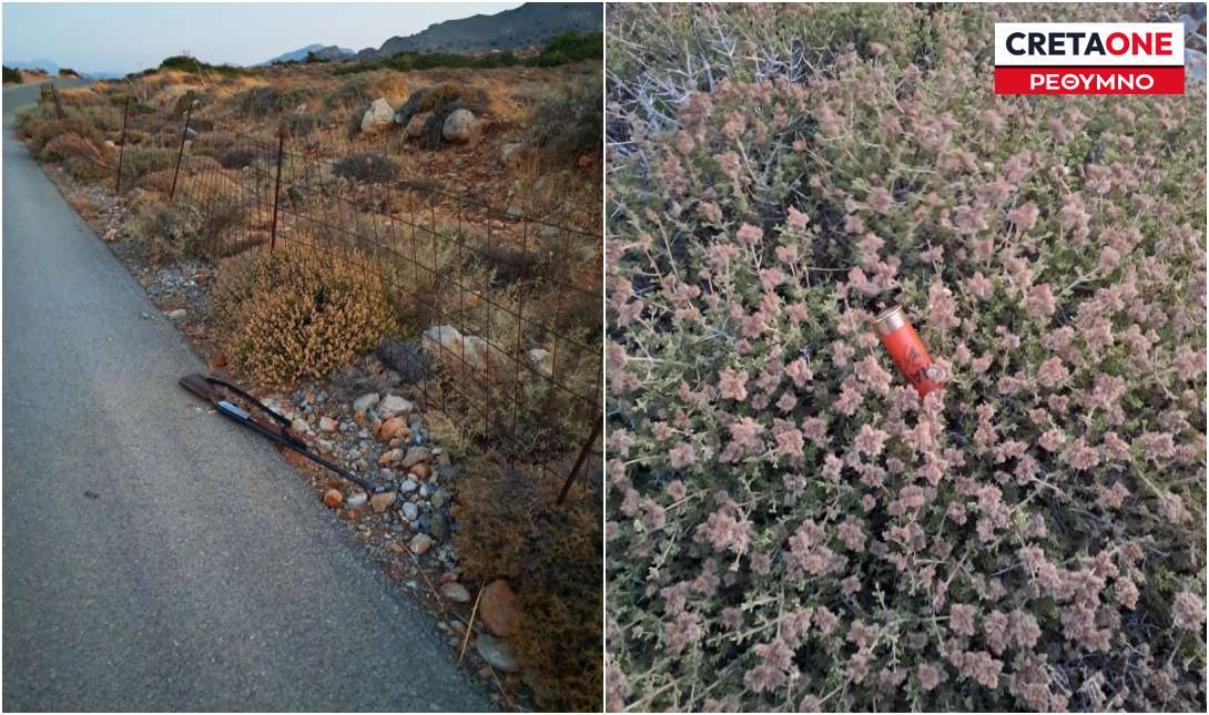 θυροφύλακες Ρέθυμνο