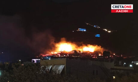 Φωτιά Ελούντα Λασίθι