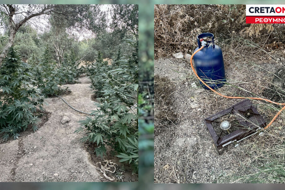 Χασισοφυτεία Ρέθυμνο