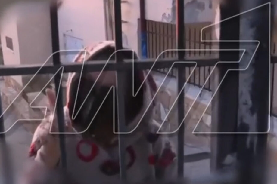 «Να φύγετε να μην σας πατήσω με το αυτοκίνητο»! είπε σε δημοσιογράφο η 62χρονη στη Βοιωτία (βίντεο)