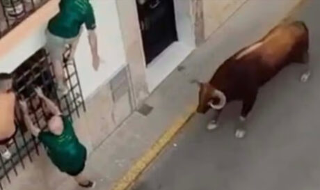 Ταύρος σκοτώνει άνδρα σε ισπανικό φεστιβάλ (βίντεο)