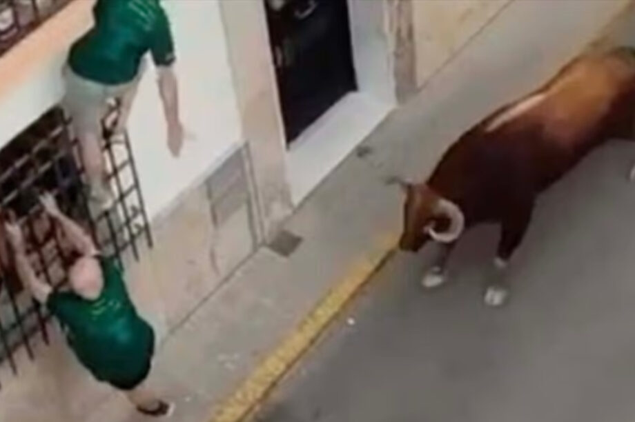 Ταύρος σκοτώνει άνδρα σε ισπανικό φεστιβάλ (βίντεο)