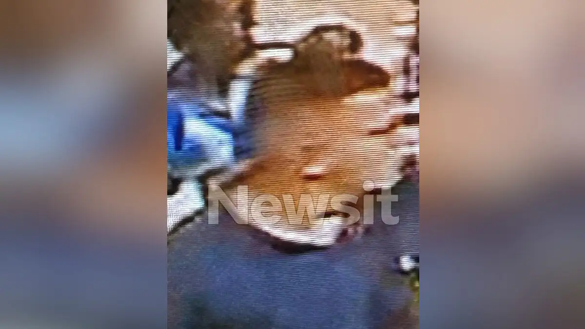 Αυτός είναι ο 17χρονος που άρπαζε μωρά