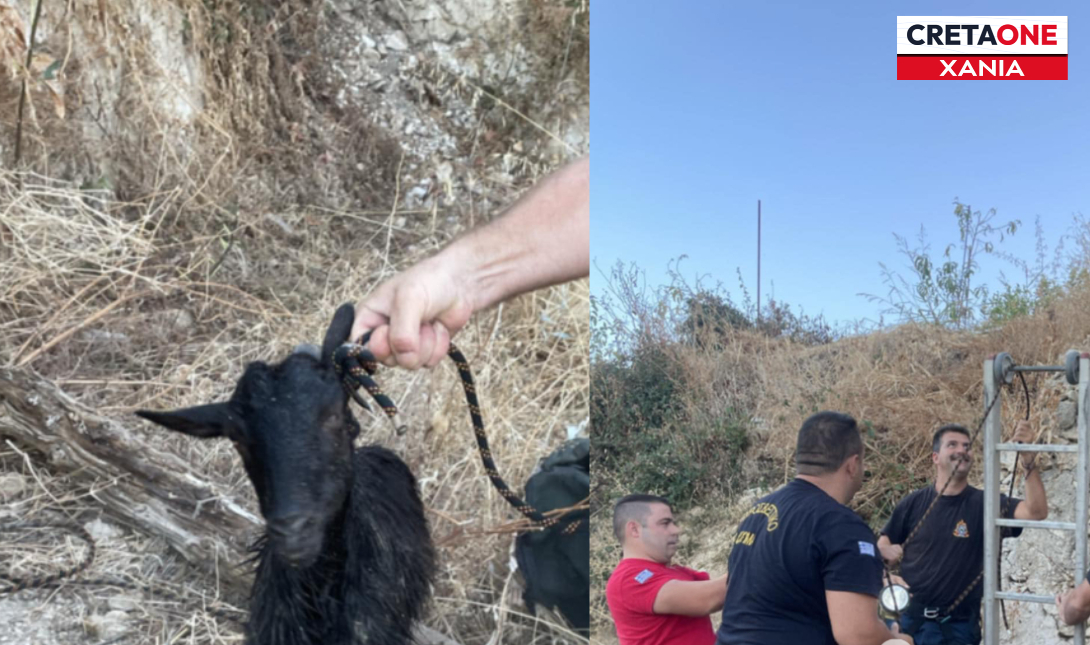 Απίστευτη διάσωση στα Χανιά: Πυροσβέστες έσωσαν κατσικάκι που είχε πέσει σε στέρνα 7 μέτρων (Φωτογραφίες)