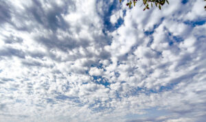 Καιρός: Με συννεφιά, νοτιάδες και βροχές ο εορτασμός του Αγίου Μηνά