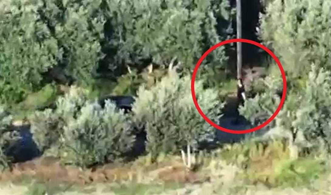 Βίντεο ντοκουμέντα από τη δράση της «κρητικής μαφίας» – Πώς έφθασε στην εξάρθρωσή της η ΕΛ.ΑΣ.