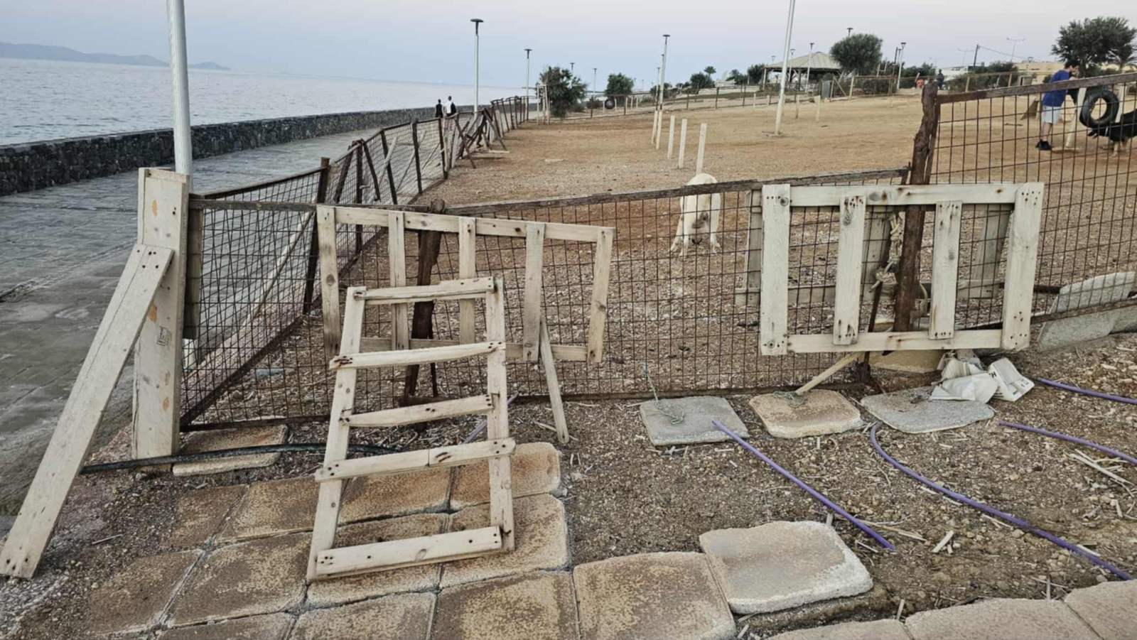 πάρκο σκύλων Καράβολας