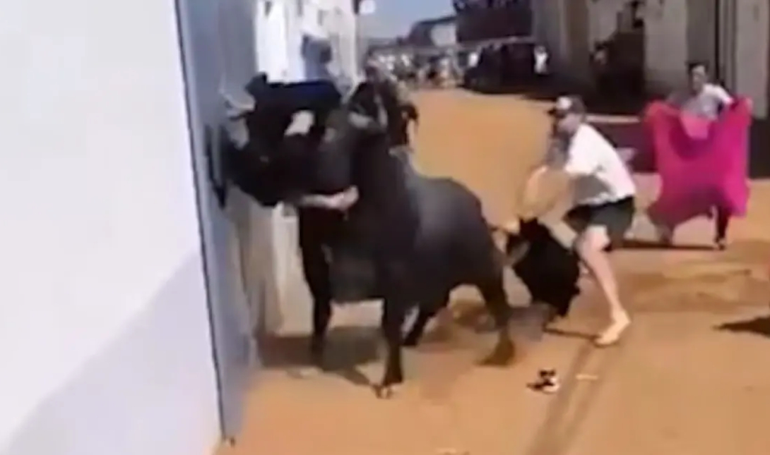 Tαύρος Ισπανία