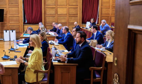 Βουλή ΟΠΕΚΕΠΕ εξεταστική επιτροπή