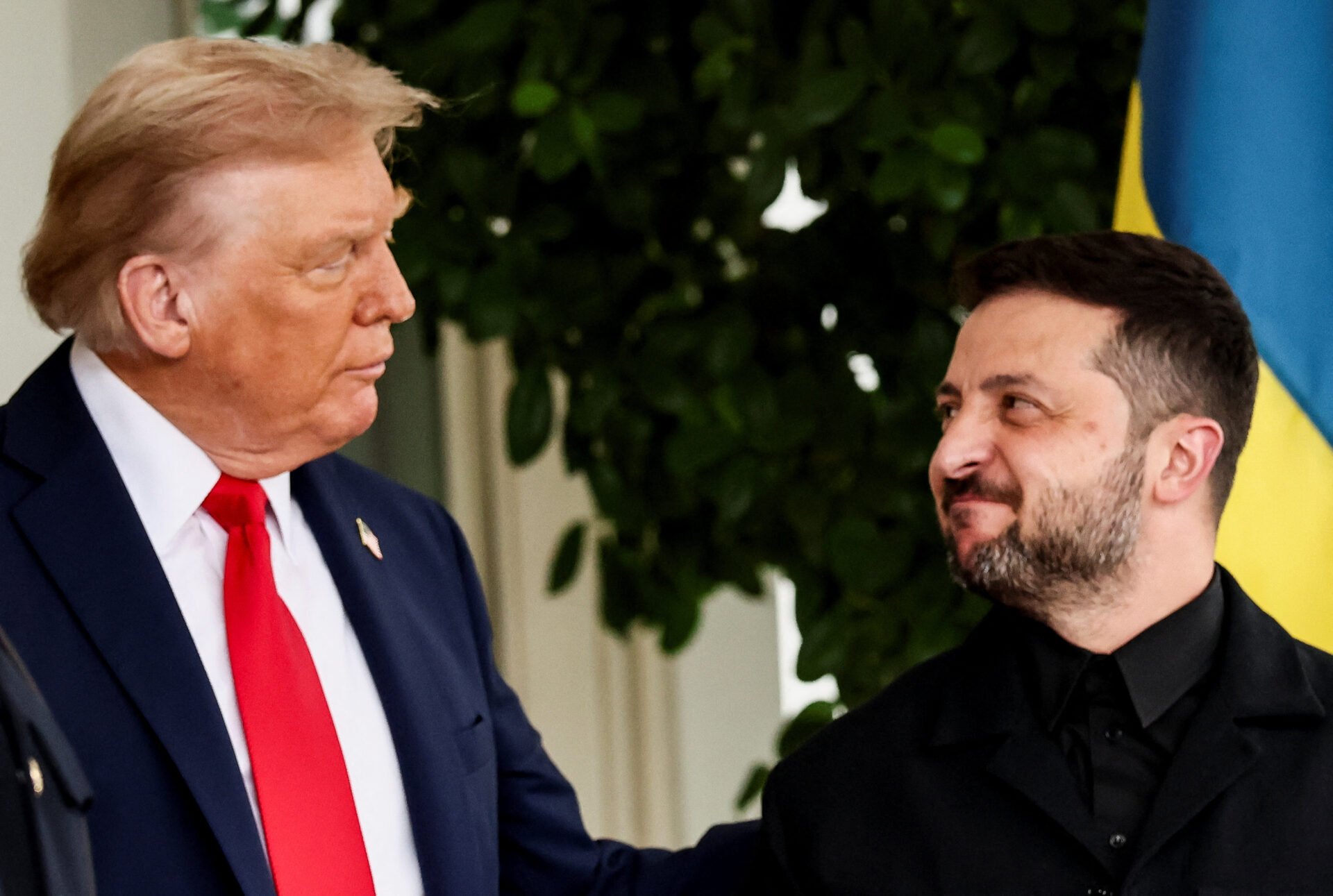 ζελενσκι τραμπ