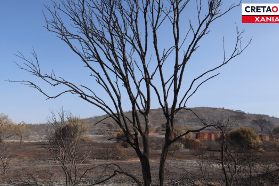 Φωτιά Χανιά