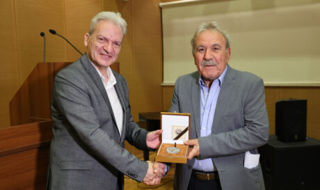 Καλοκαιρινός Πυργιανάκης
