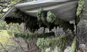Μαλεβίζι: Του πέρασαν χειροπέδες την ώρα που πότιζε… τη φυτεία – Πάνω από 17 κιλά χασίς και 46 χασισόδεντρα βρήκαν οι Αρχές – Δείτε εικόνες
