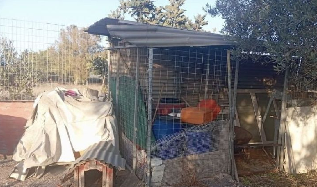 Viral η αγγελία Κρητικού για σπίτι: «Απαγορεύονται οι πεθερές»