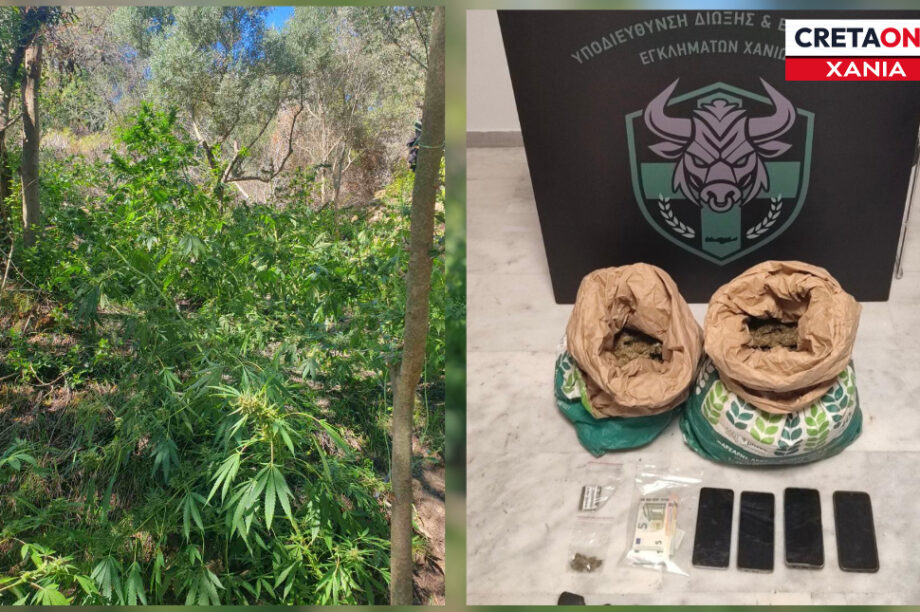 Χασισοφυτεία Χανιά