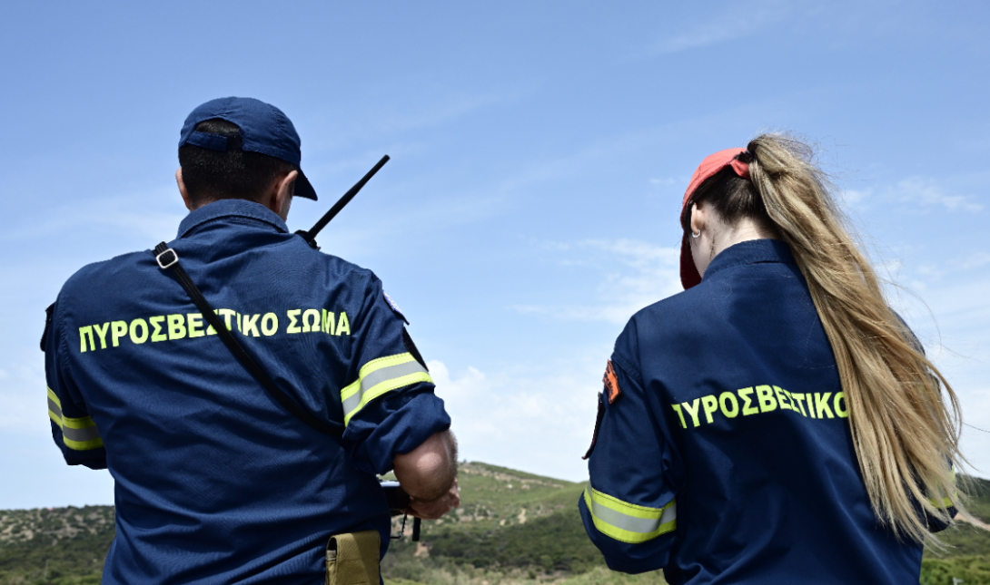 Τυμπάκι: Πυροσβέστες έσωσαν τρία κυνηγόσκυλα που έπεσαν σε λιμνοδεξαμενή – Δείτε εικόνες