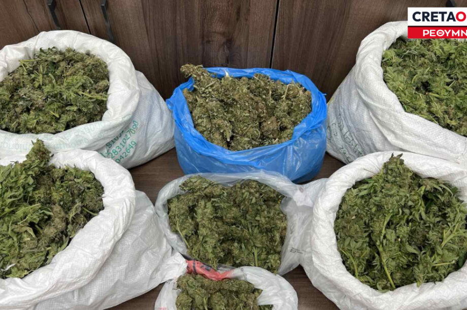 Χασίς Αμαρι