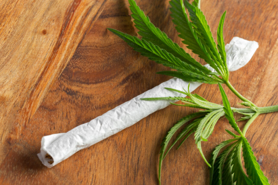 Χασίς Κάνναβη