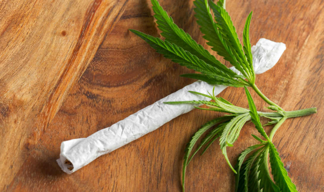 Χασίς Κάνναβη