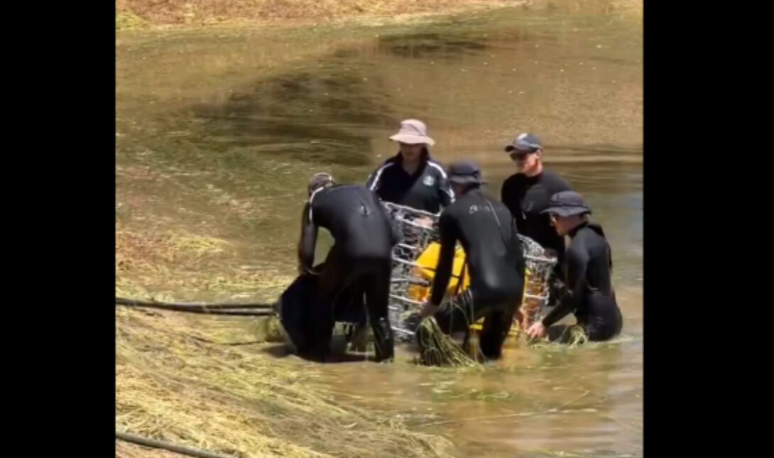 Αυστραλία: Αδειάστηκε φράγμα για τον εντοπισμό 4χρονου αγοριού που αγνοείται (βίντεο)