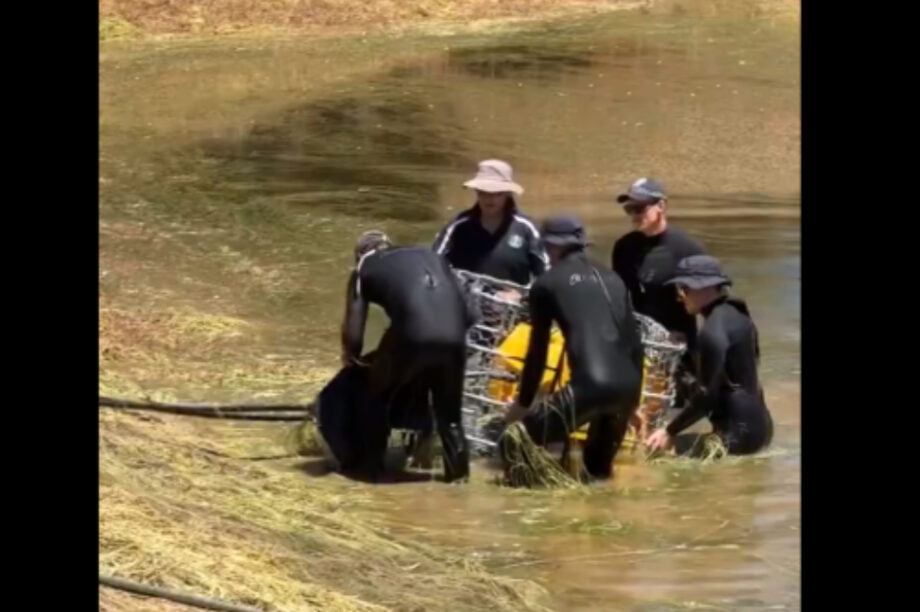 Αυστραλία: Αδειάστηκε φράγμα για τον εντοπισμό 4χρονου αγοριού που αγνοείται (βίντεο)