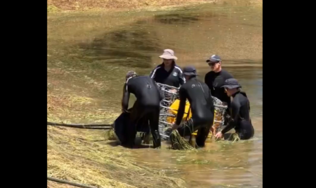 Αυστραλία: Αδειάστηκε φράγμα για τον εντοπισμό 4χρονου αγοριού που αγνοείται (βίντεο)