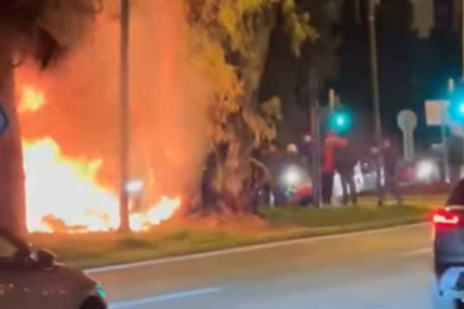 Μονογυιού τροχαιο