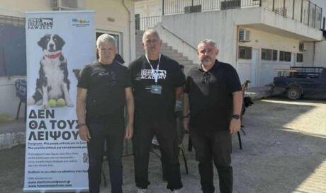 αδέσποτα δήμος Φαιστού