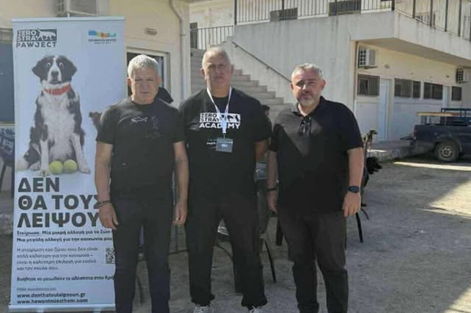 αδέσποτα δήμος Φαιστού