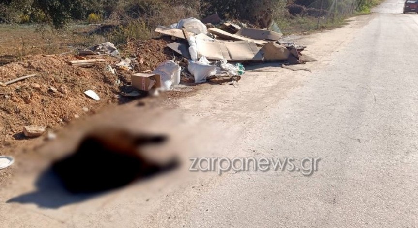 Απαράδεκτη εικόνα στην Κρήτη: Νεκρό πρόβατο και μπάζα στην άκρη του δρόμου! 3 Απαράδεκτη εικόνα στην Κρήτη: Νεκρό πρόβατο και μπάζα στην άκρη του δρόμου!
