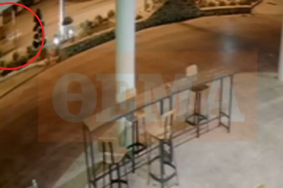 foinikounta1_arthrou