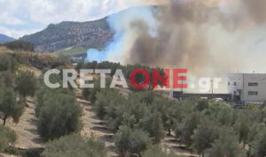 Συναγερμός στο Ηράκλειο: Ήχησε το 112 για την πυρκαγιά στις Μαλάδες – Στη μάχη της κατάσβεσης και ελικόπτερο (φώτο, βίντεο)