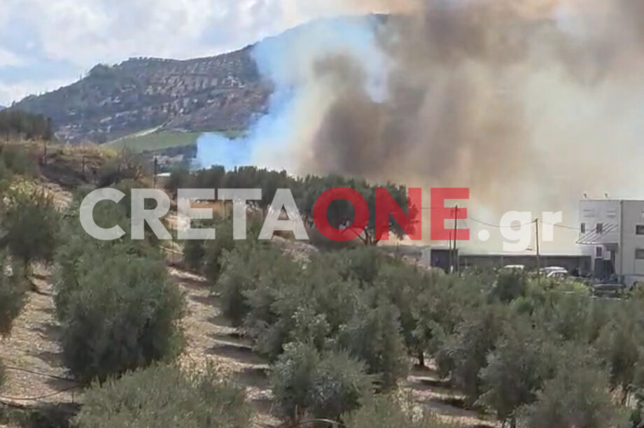 φωτιά Μαλάδες
