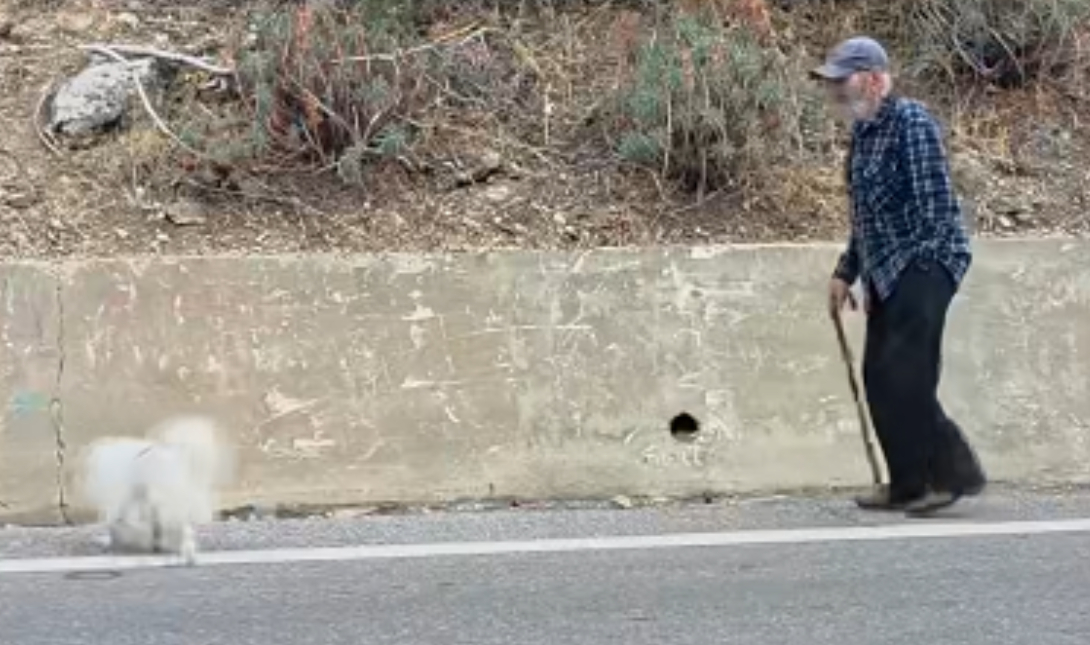 Κρήτη: Ένα σκυλάκι «φύλακας-άγγελος» για το ηλικιωμένο αφεντικό του – Δείτε το βίντεο