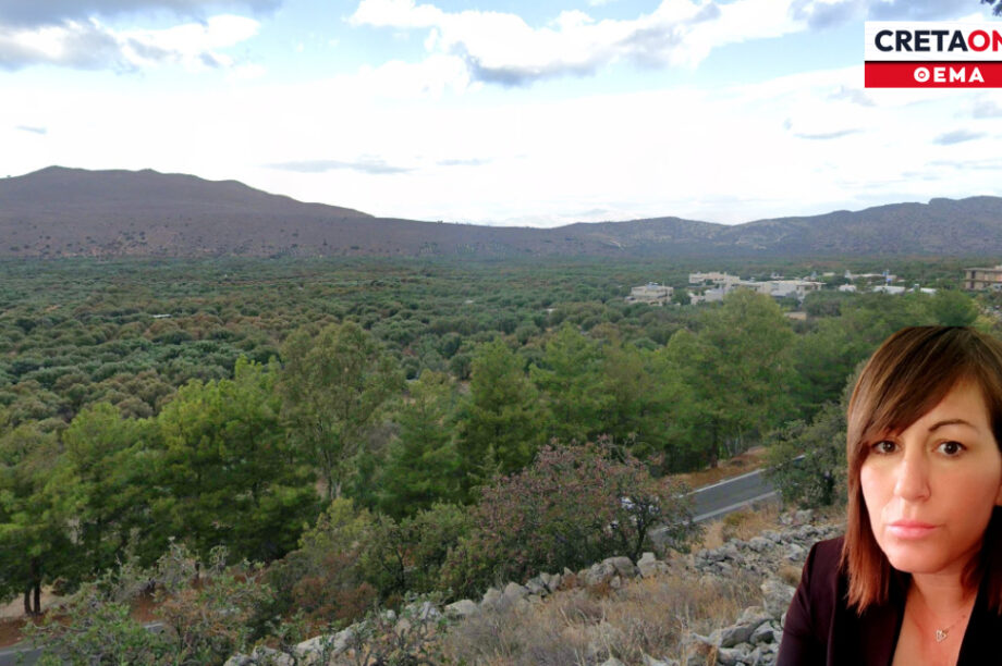 Καβούσι ΒΟΑΚ προσφυγές ΣτΕ