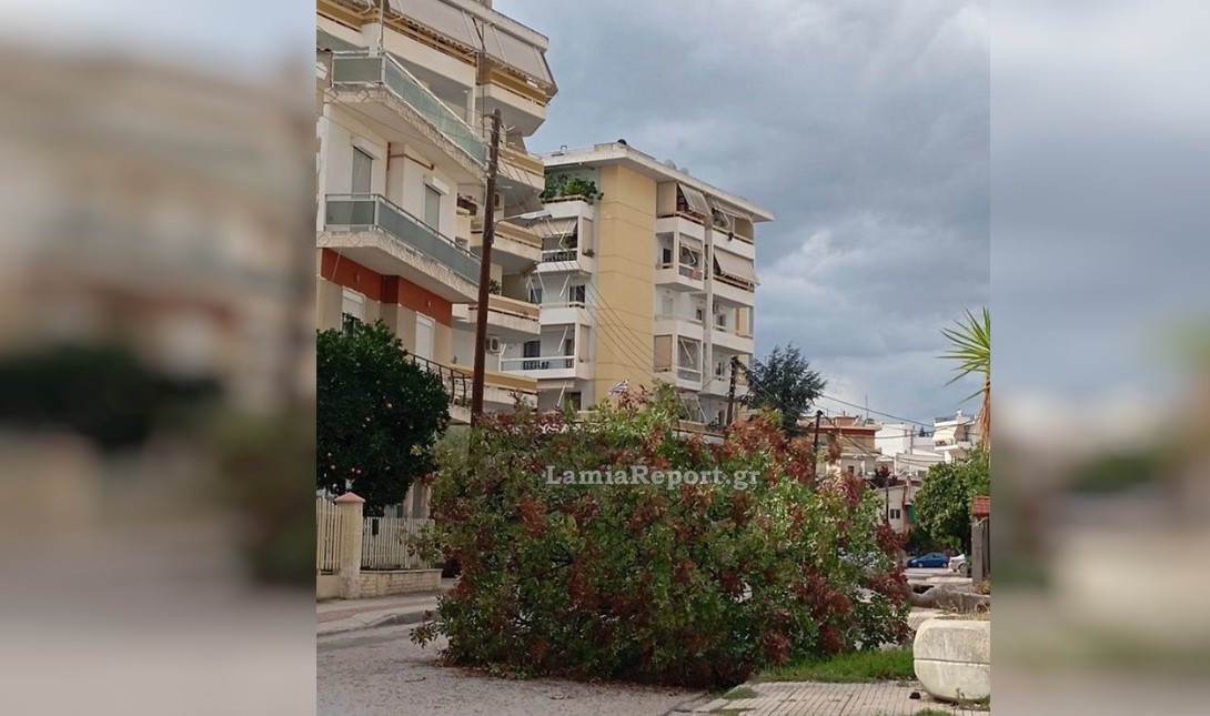 Λαμία: Δέντρο έπεσε σε παιδική χαρά λόγω των ισχυρών ανέμων