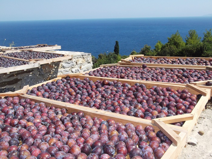 ΔΑΜΑΣΚΗΝΑ ΑΖΑΝ