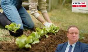 Κρήτη: Από τα χωράφια στα… εργαστήρια – Γιατί το νησί χρειάζεται τώρα ένα ισχυρό γεωπονικό «ΙΤΕ»;