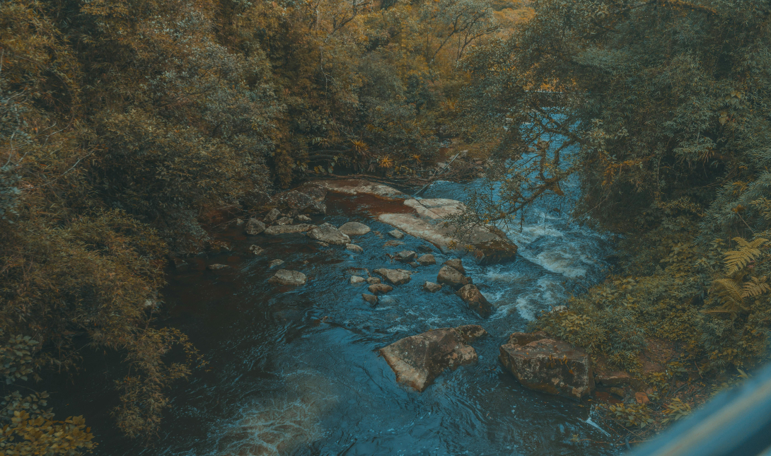 Αποτοξίνωση στο δάσος: Γιατί το forest bathing γίνεται το must των πολυτελών διακοπών