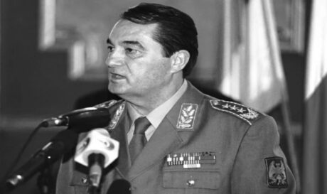 Νεμπόισα Πάβκοβιτς
