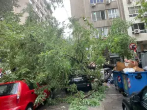 Η νεροποντή στην Αθήνα προκάλεσε ατύχημα – Ξεριζώθηκε δέντρο και τραυμάτισε περαστικό (Φώτο)
