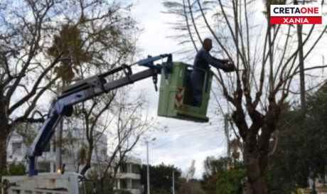 εργασίες κλαδέματος Χανιά