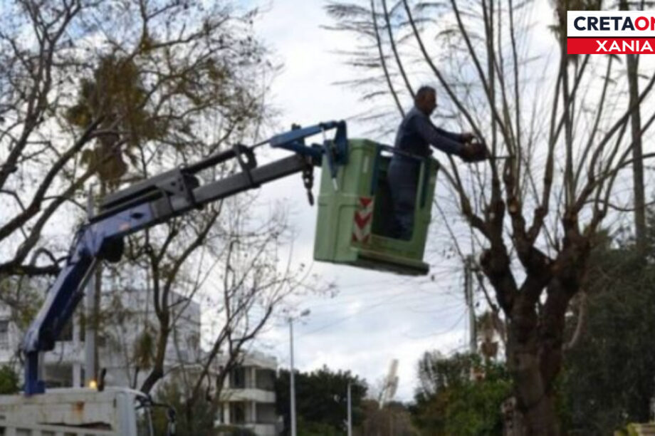 εργασίες κλαδέματος Χανιά