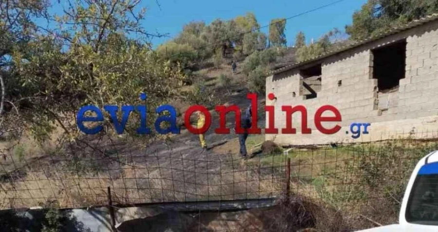 ηλικιωμενος