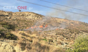 Ηράκλειο: Συναγερμός για φωτιά στη Λιγόρτυνο – Δείτε εικόνες