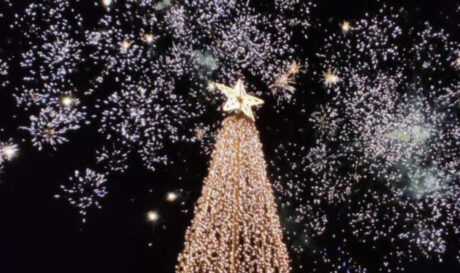 Χριστουγεννιάτικο δέντρο Μαλεβίζι