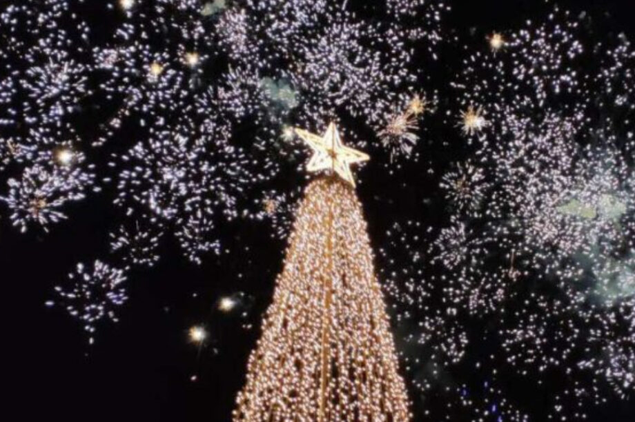 Χριστουγεννιάτικο δέντρο Μαλεβίζι