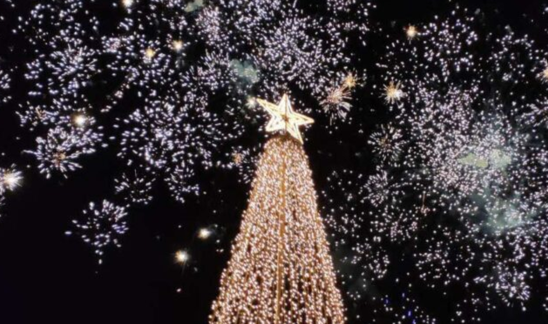 Χριστουγεννιάτικο δέντρο Μαλεβίζι